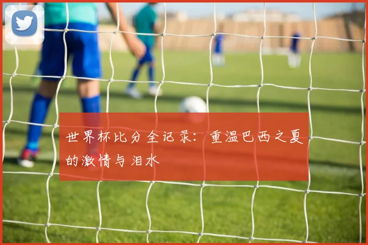 世界杯比分全记录：重温巴西之夏的激情与泪水
