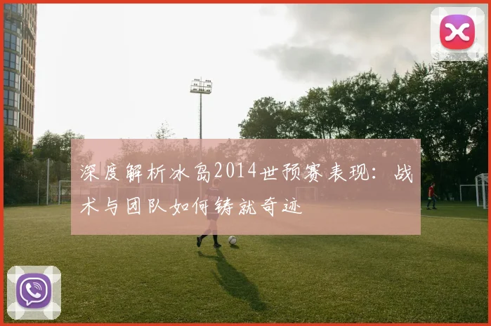 深度解析冰岛2014世预赛表现:战术与团队如何铸就奇迹