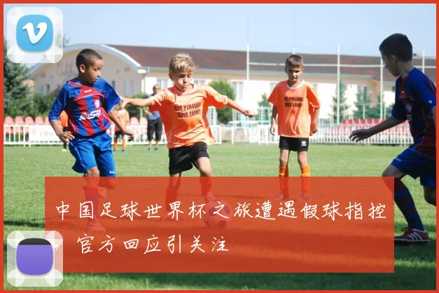 中国足球世界杯之旅遭遇假球指控，官方回应引关注
