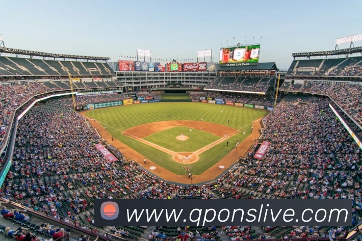 博亚体育app官网入口发展历程